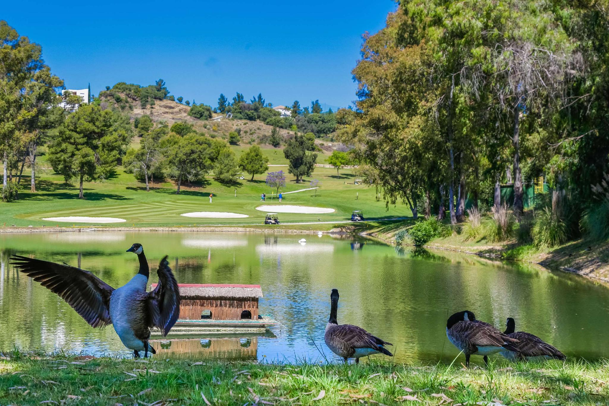 Sol Marbella Estepona Atalaya Park Εξωτερικό φωτογραφία